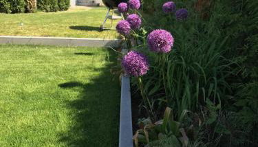 Hatzels Häuschen - Foto 5, Garden view