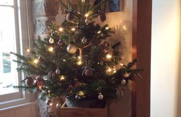 Lovely Cottage by Coastal Footpath & Surf Beaches! - Photo 39