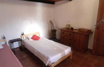 Solar Verbena - Foto 15