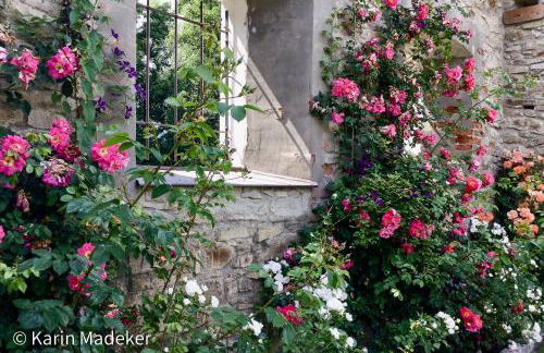 Design Ferienwohnung mit Bauerngarten - Foto 33