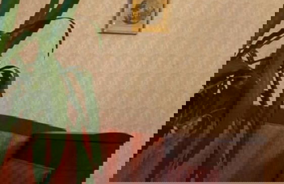 Villa Internationals - Foto 9