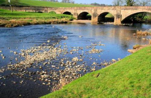 Cosy 19th century town-house - Foto 14