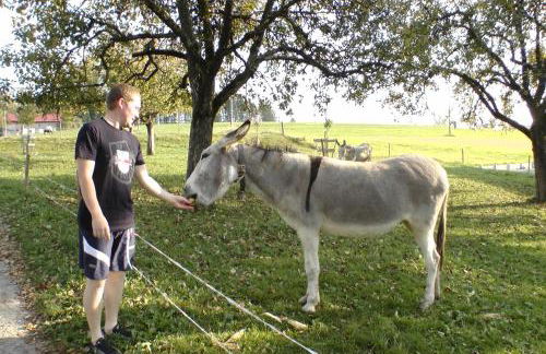 Andreashof - Foto 25