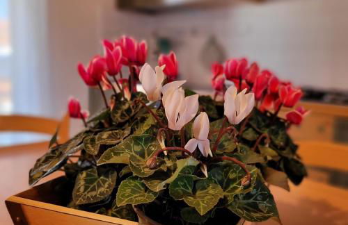 La Mansardina sul lago Mountain Lake Iseo Hospitality - Photo 22