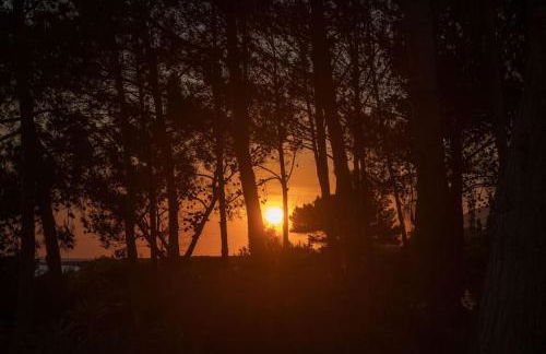 Seashell Luxury Residence - Foto 54