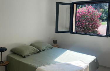 Grande maison à Belgodère Balagne - Foto 15