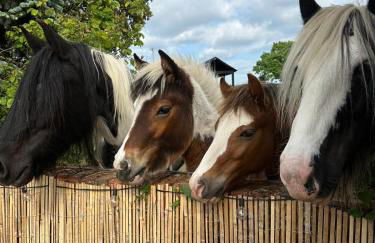 Grade II Listed Farmhouse, Pool, Hot Tub, Games Room, Celebration Hall, Car Park, 10ppl, 45 min from Central London - Foto 8