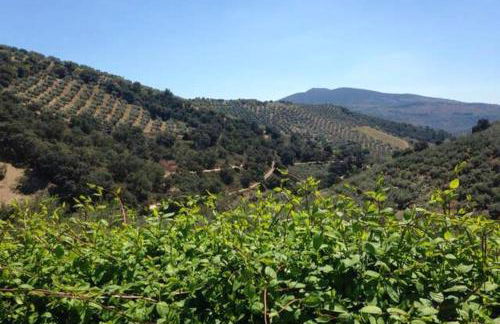 Elegant Villa in Granada with Pool and Garden - Foto 11