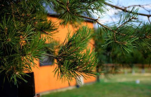 Totu Roztocze - Foto 16