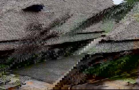 Nightingale Apartments - Foto 21