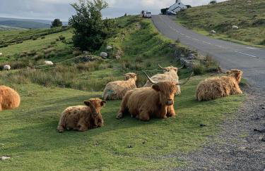 Delightful Dartmoor Apartment - Foto 6