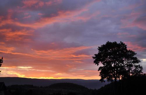 Dom Jesionów - Foto 38