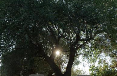 Trulli Donna Gina - Foto 6