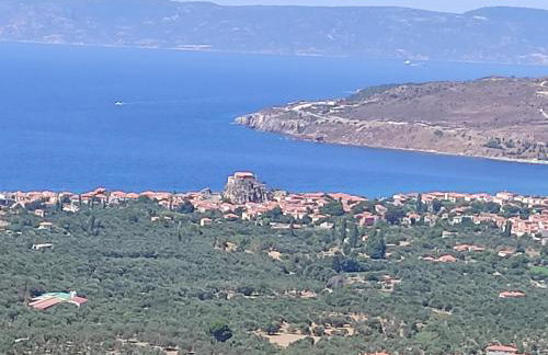 LAFION HOUSE - Foto 11