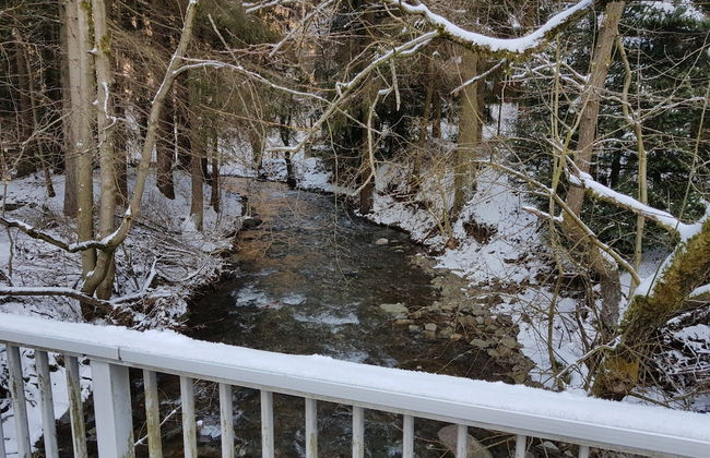 Ferienwohnung im Oberharz in Wildemann - Foto 34