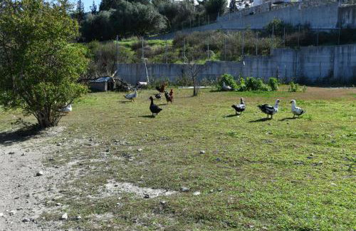 Villa Kavalino - Foto 28