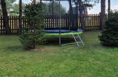 Willa Zielona Jabłonka - Foto 44