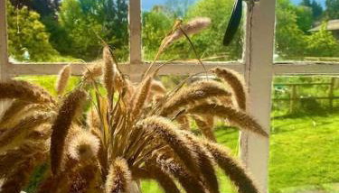 Carefree Cottage - Foto 3