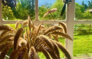 Carefree Cottage - Foto 3