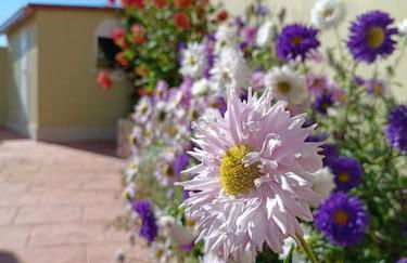 Preciosa casita a 10 minutos de la playa. - Foto 11