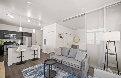 Studio View Of Downtown Near Lake Michigan Plaza Grey - Photo 8