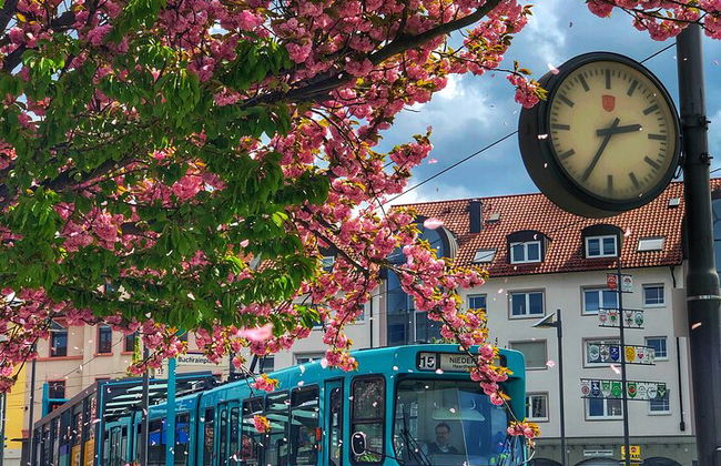 Transporte privado de Estrasburgo a Frankfurt - Foto 10