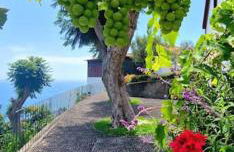 Torre Bella Gardens - Foto 14