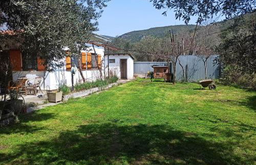 Zephyr Guest House - Foto 22