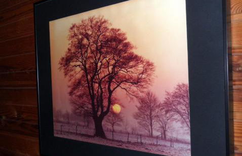 Frieslands Ferienwohnung - Foto 13