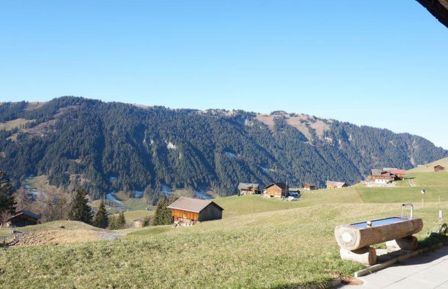 Sommermatte - Foto 7