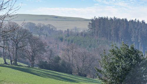 1 Bed in Cilcain oc-s29009 - Foto 2, Other