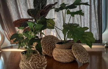 Bateau Zimon-vue Seine-nuit insolite à Rouen - Foto 22