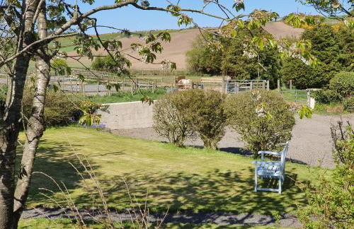 Ash Cottage - Photo 10