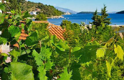 Apartments Ivi - Photo 33