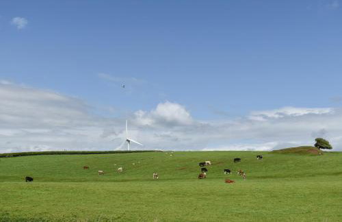 Pine Lodge - Uk30007 - Foto 23