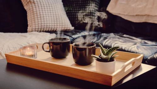 La Maison Arc-en-ciel aux portes de Toulouse, jardin et parking - Photo 3