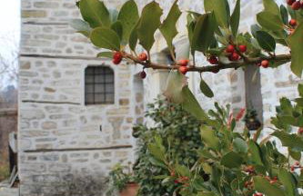 Archontiko Blana - Foto 50