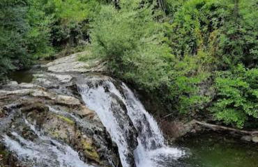 Wayne's house, a short walk to the waterfalls - Foto 18