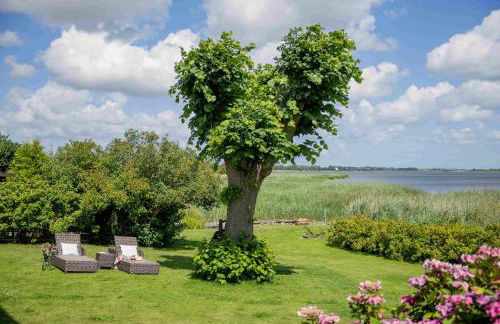 Boddenhuus - Traumhaus mit Steg und Boot - Foto 10