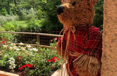 Il Bosco Guest House Subiaco - Foto 57