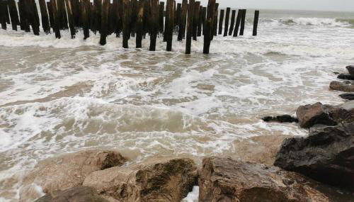 Gite de la Digue - Foto 3