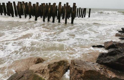 Gite de la Digue - Foto 3