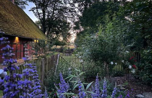 Auszeit vom Alltag in urigem Ferienhaus in idyllischer Natur im Dümmer-Weserland, Sauna & Kraniche - Foto 12
