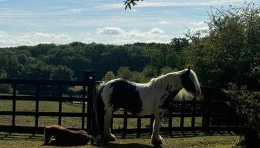 Grade II Listed Farmhouse, Pool, Hot Tub, Games Room, Celebration Hall, Car Park, 10ppl, 45 min from Central London - Foto 5
