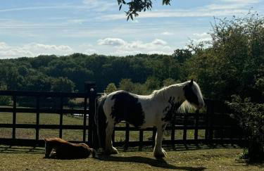 Grade II Listed Farmhouse, Pool, Hot Tub, Games Room, Celebration Hall, Car Park, 10ppl, 45 min from Central London - Foto 5