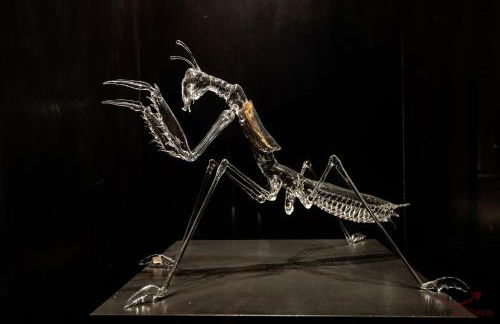 Alta Via 2 - Free Parking - Sea 20 min - A-C - Foto 20