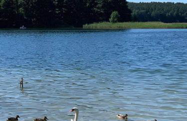 DOMY na GÓRCE - Photo 17