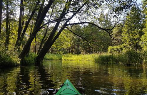 Domek Mazury - Jezioro Orzysz - Foto 38