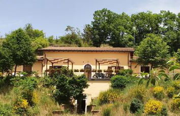 Il Vigneto - Foto 14