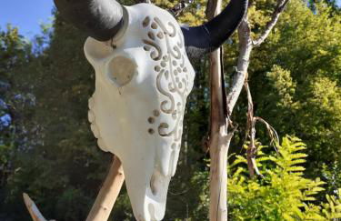 La Cabane Aux Loups - Foto 43